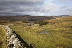 swaledale 1 sm.jpg